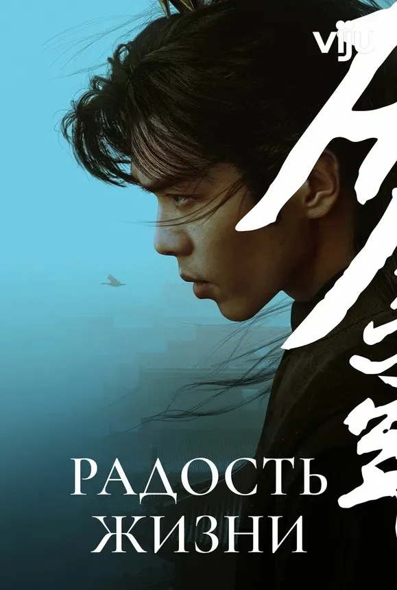 Радость жизни — постер