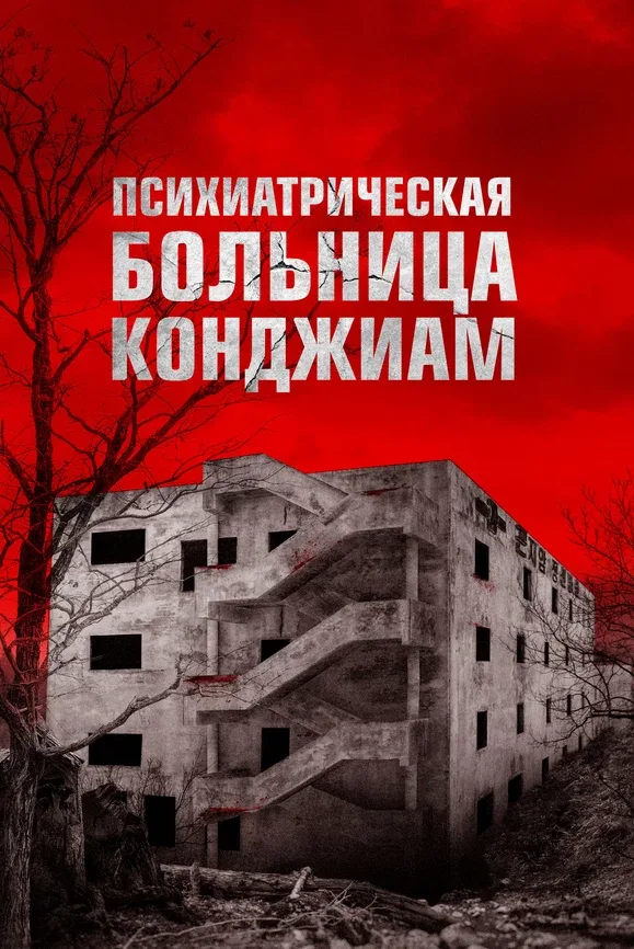 Психиатрическая больница Конджиам — постер