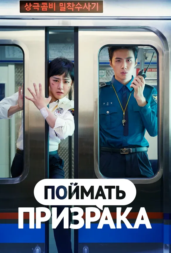 Поймать призрака — постер