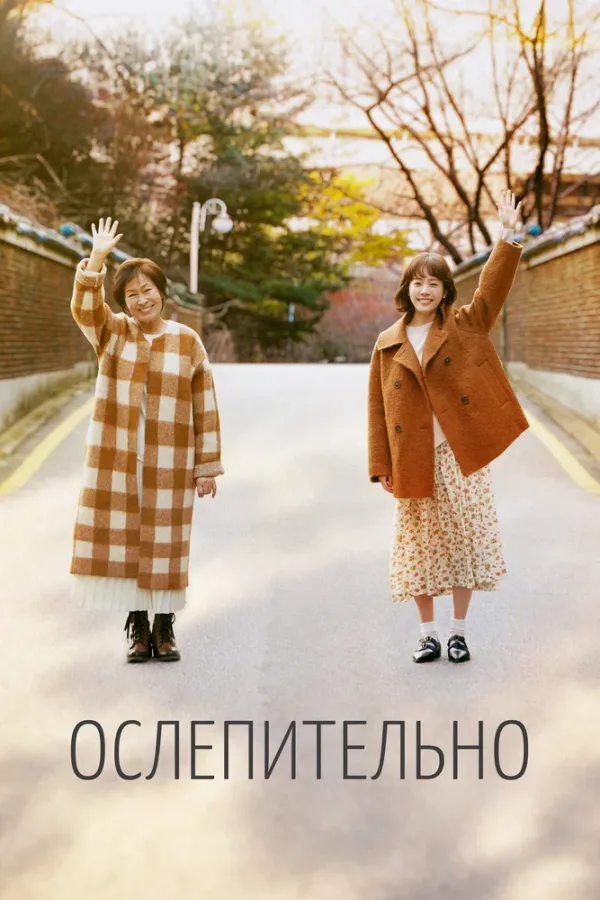 Ослепительно — постер