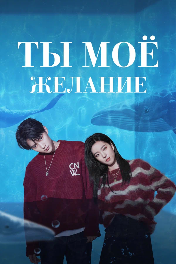 Ты – моё желание — постер