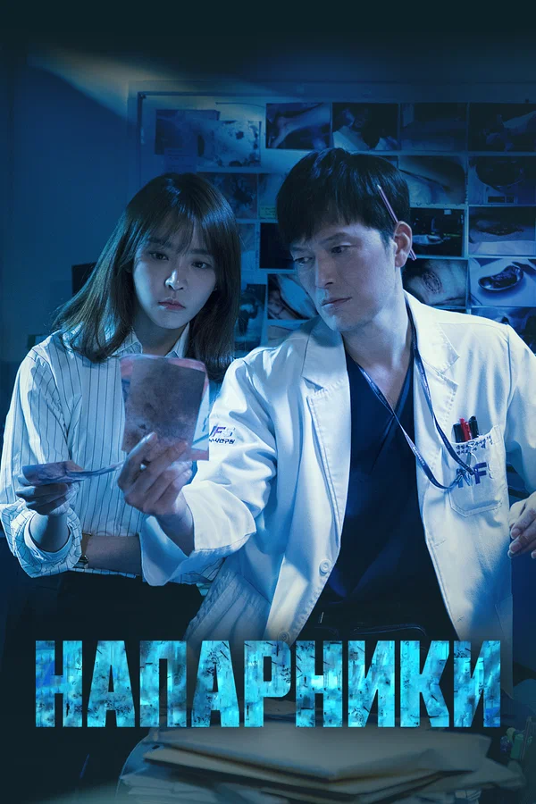 Напарники — постер