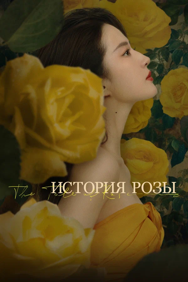 История розы — постер