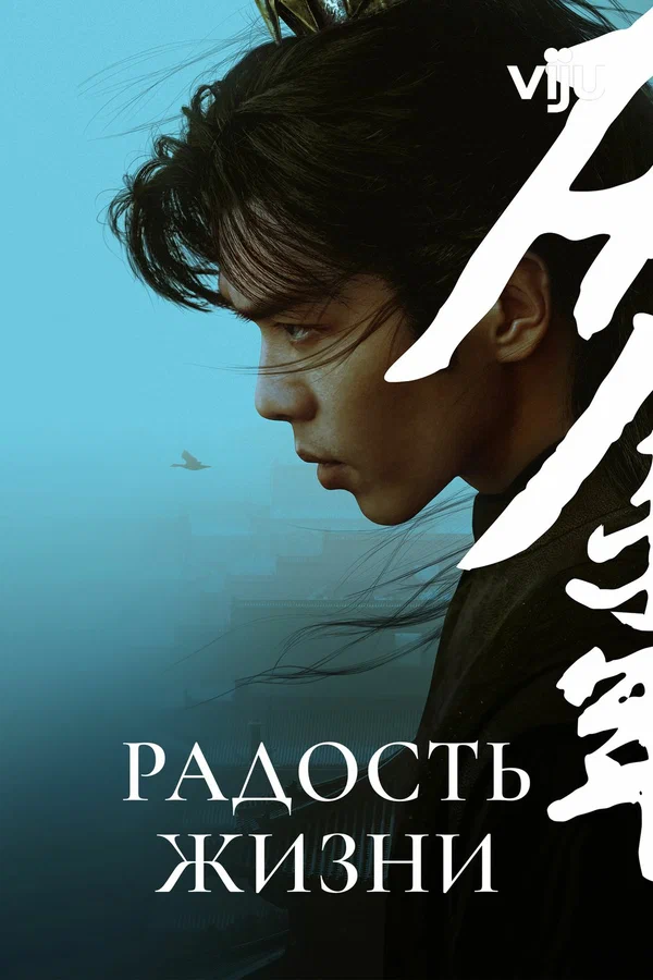 Радость жизни — постер