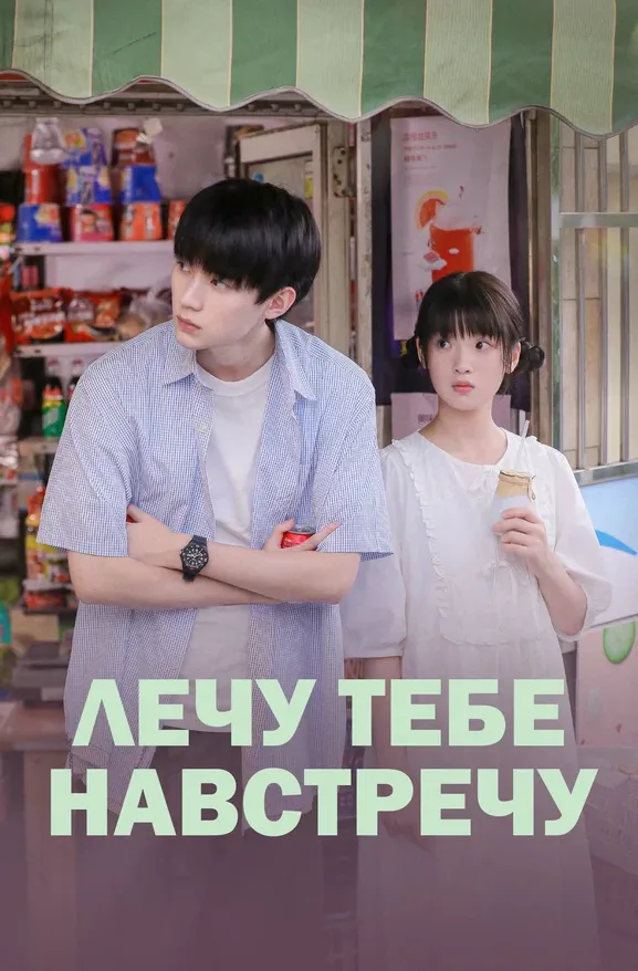 Лечу тебе навстречу — постер